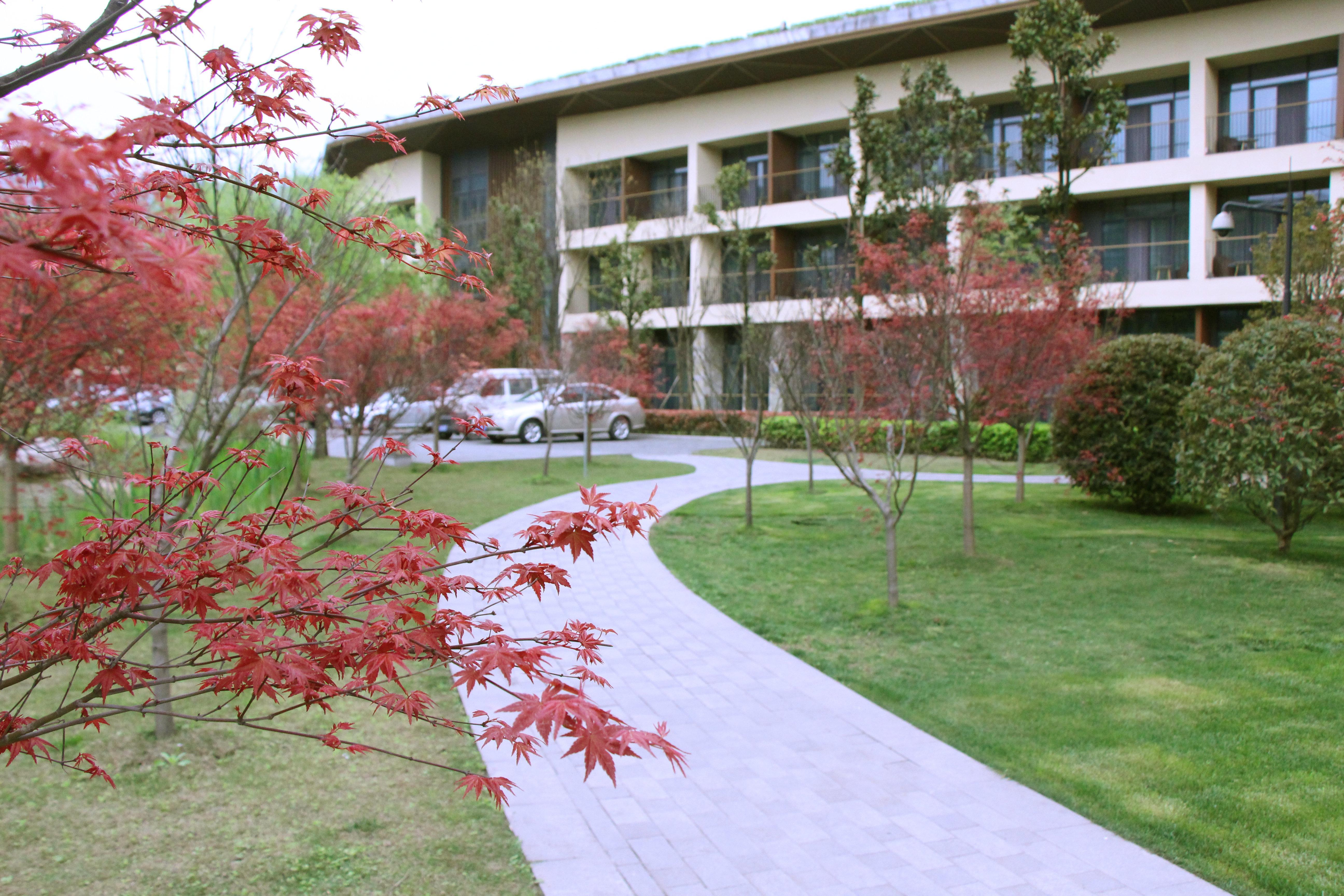 Holiday Inn Express Emei Mountain By Ihg Emeishan Exteriör bild