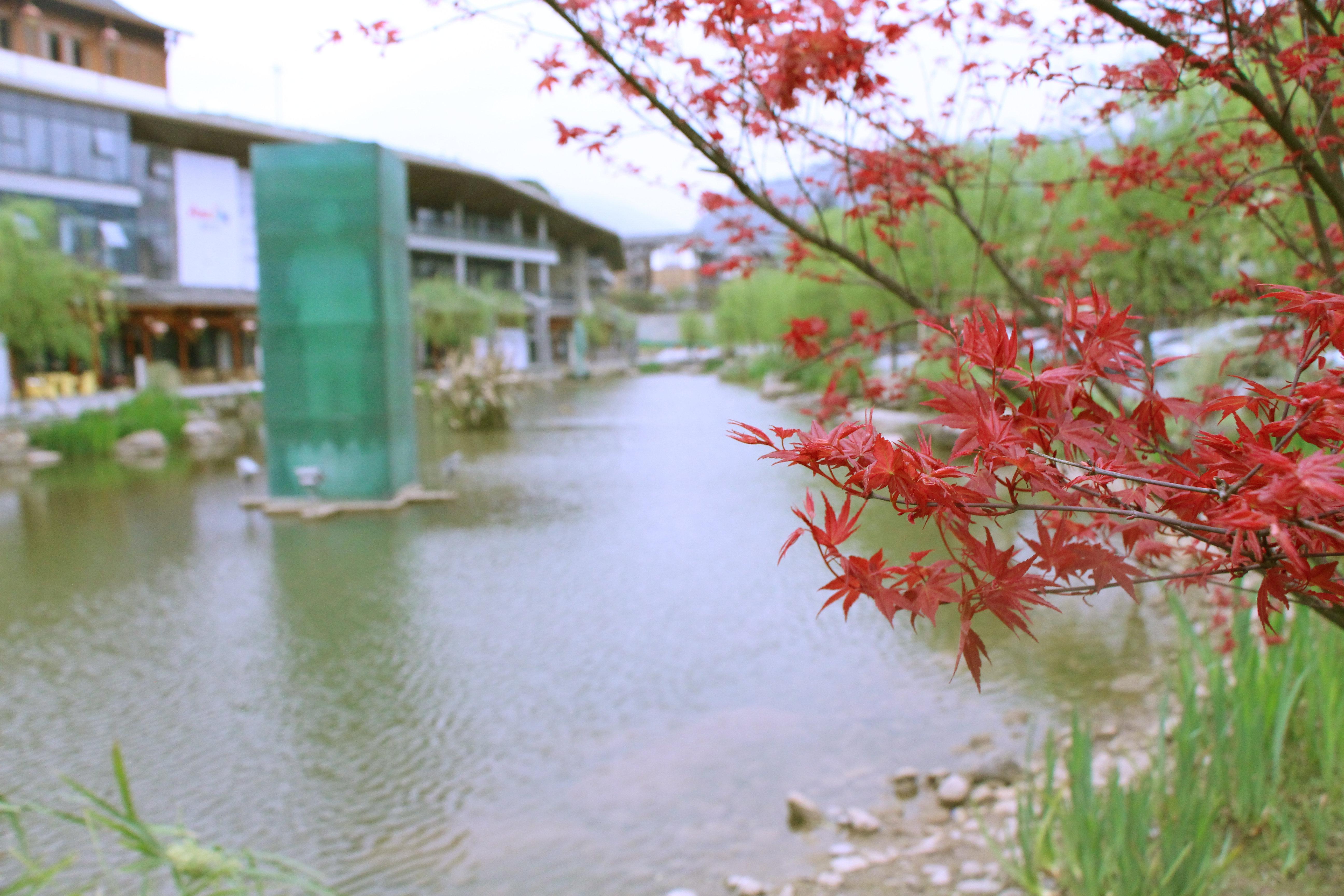 Holiday Inn Express Emei Mountain By Ihg Emeishan Exteriör bild