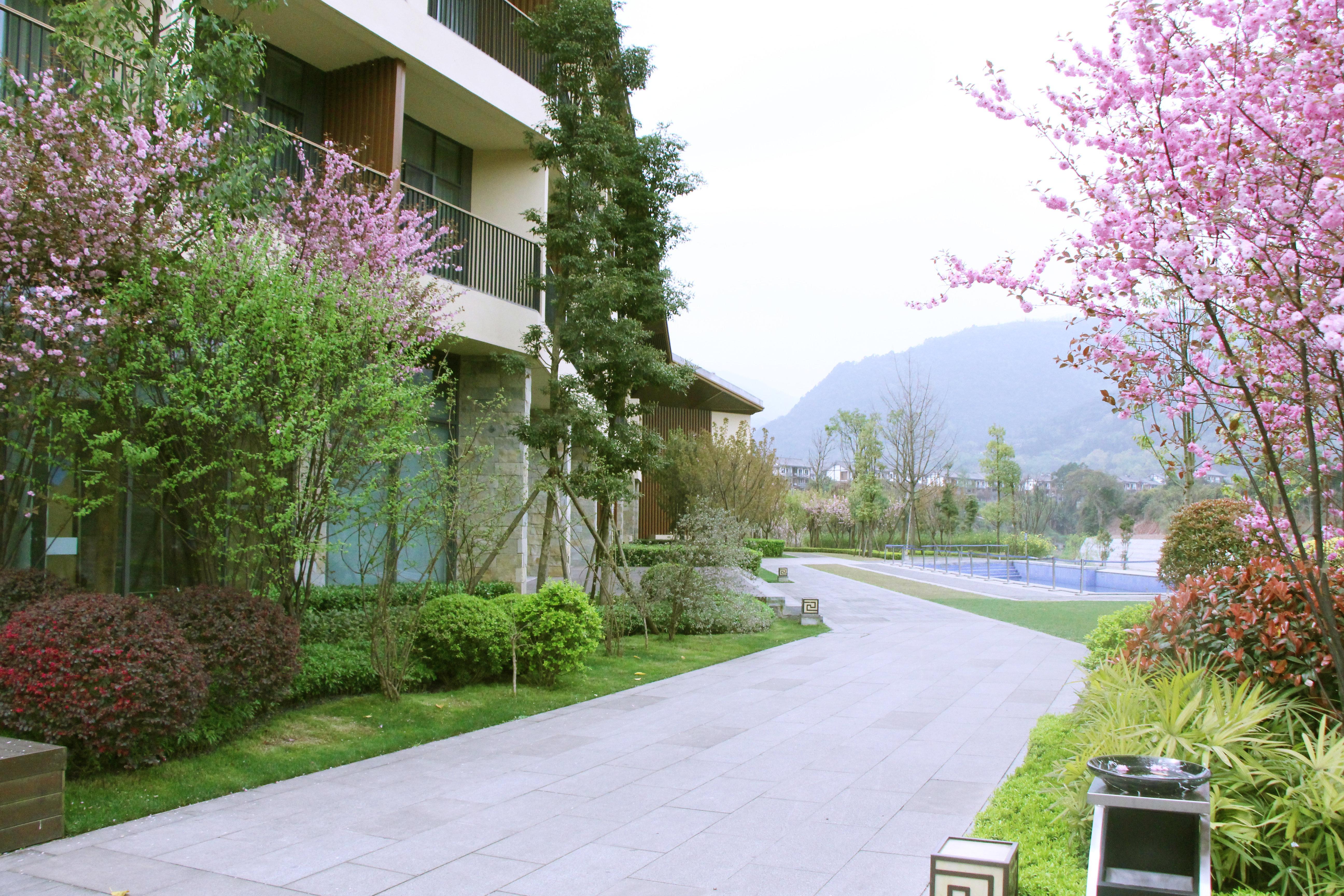 Holiday Inn Express Emei Mountain By Ihg Emeishan Exteriör bild