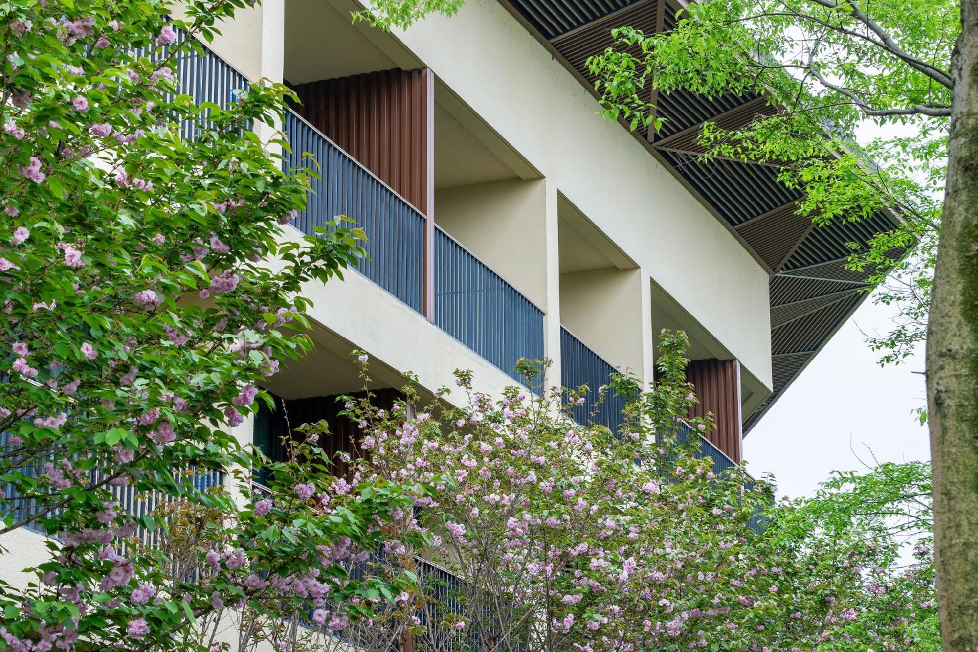 Holiday Inn Express Emei Mountain By Ihg Emeishan Exteriör bild